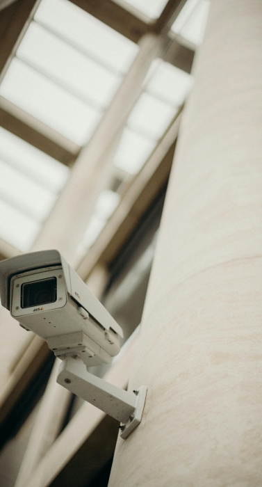 pexels-cottonbro-3205737