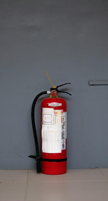 pexels-ian-panelo-4805958